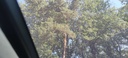 Autoscout Image 13